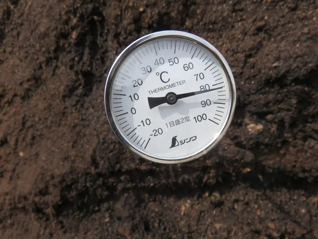 Стрілочний термометр у масі компосту показує близько 70 °C